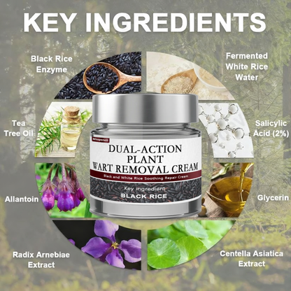 Black Rice Skin Repair Essence Cream 👨‍⚕️ FDA Certified – Helps Remove Warts, Improve Keratin Buildup, Seborrheic Dermatitis, Follicular Keratosis, Age Spots, and Bruising